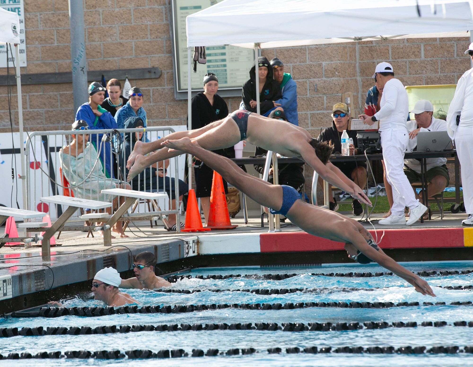 Sharks boys and girls swimming to wins