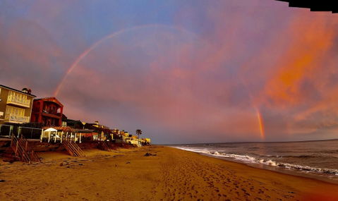 Malibu Best Shot: Dedicated to Rosie the Dog