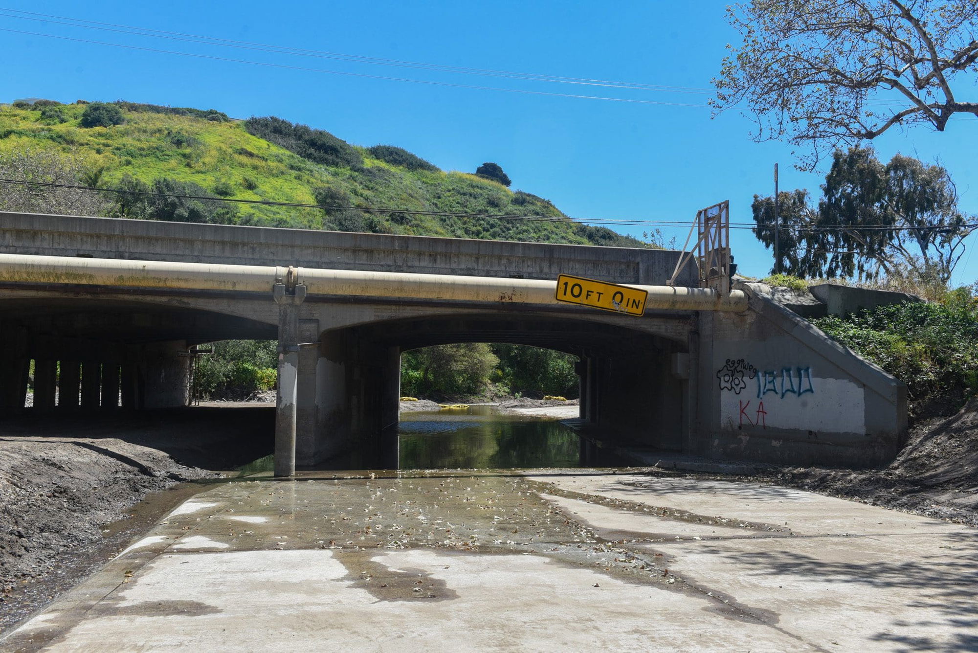 Zuma Foundation cancels the triathlon in Malibu slated for September