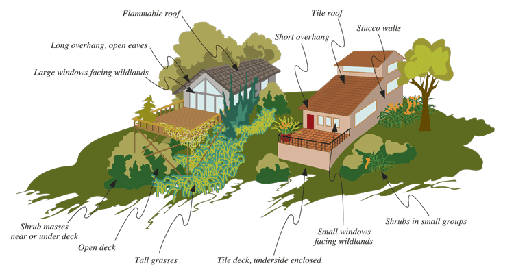 How to protect your home with firescaping