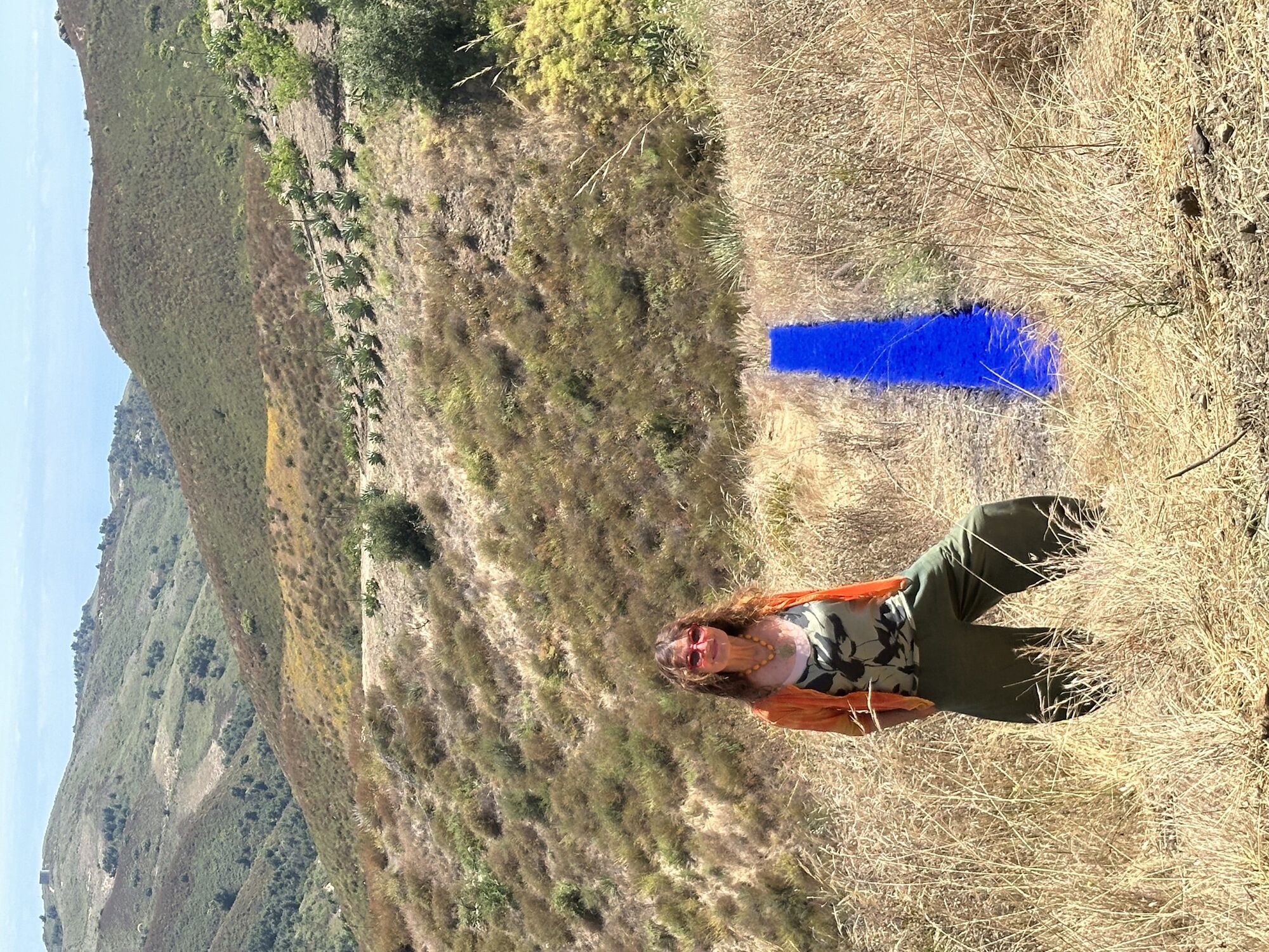World-renowned artist recreates her acclaimed Malibu artwork