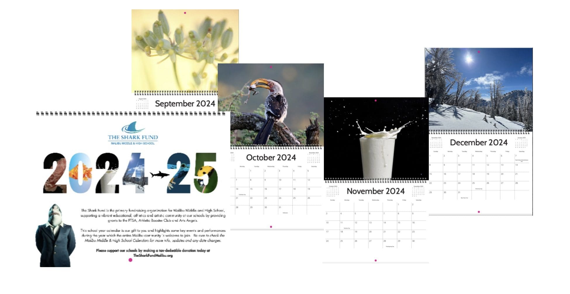 Celebrate and support Malibu schools’ arts programs with the Malibu Sharks calendar