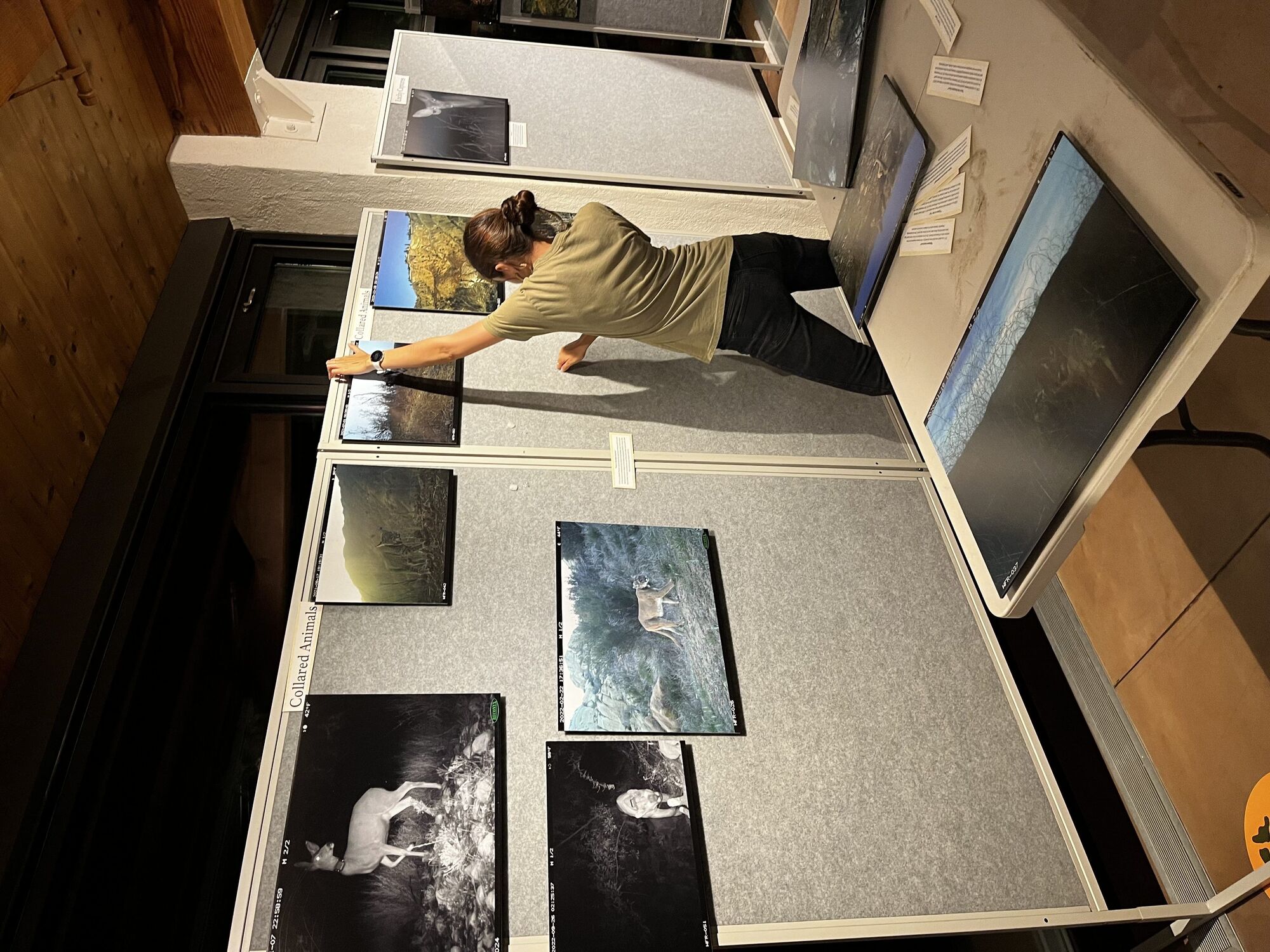 Woolsey Fire research project on display at Visitor Center