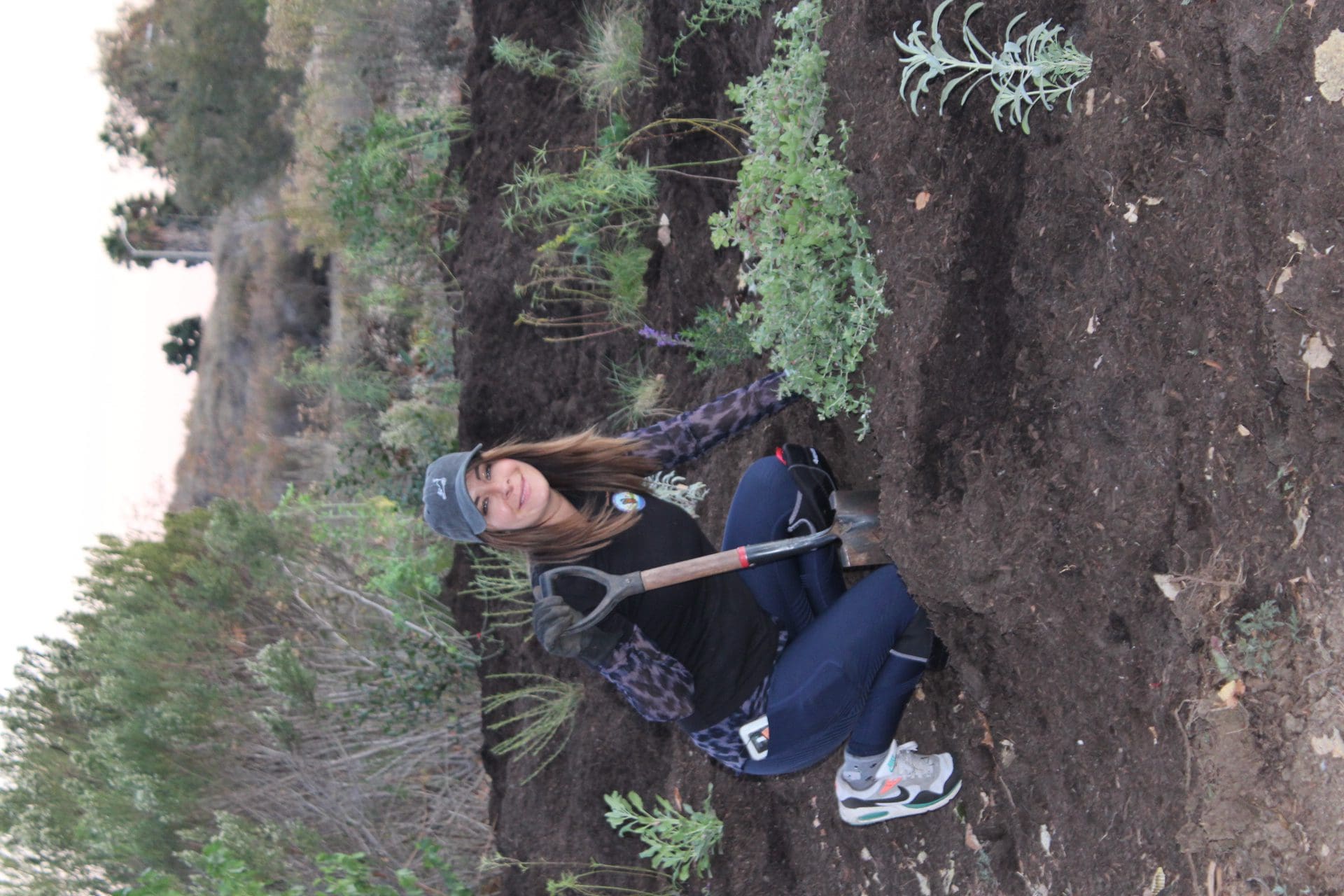 Butterfly garden taking shape in Malibu