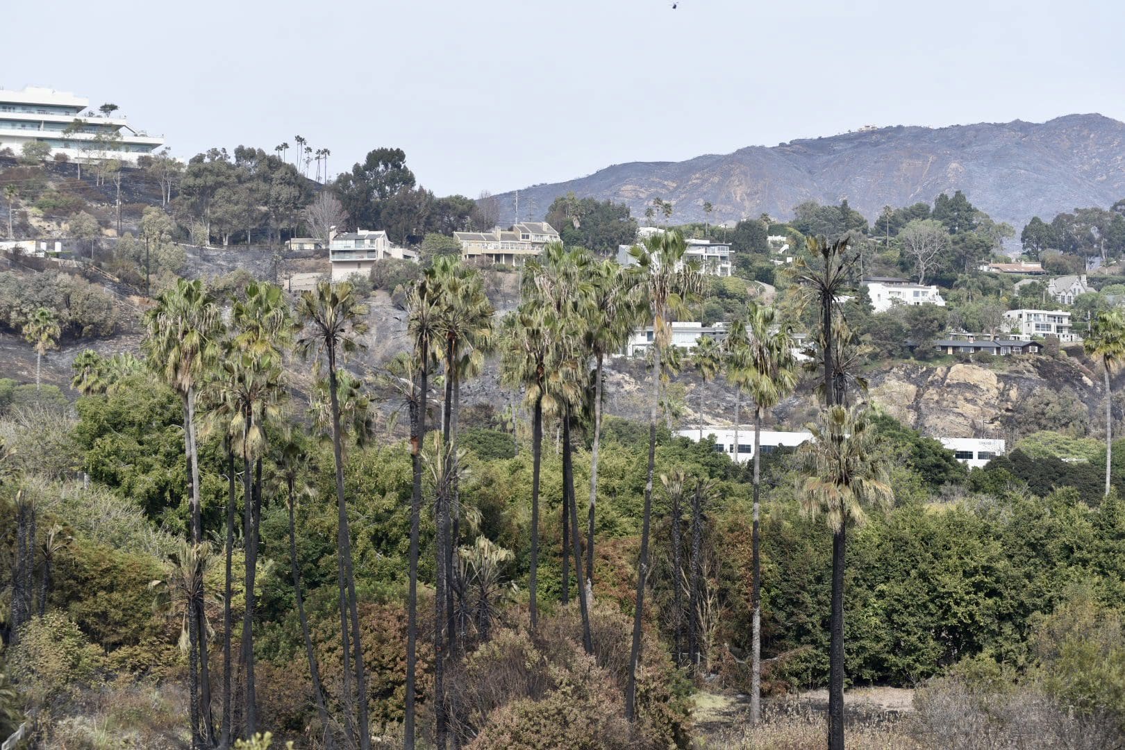 Franklin Fire update Dec. 15: Acreage remains at 4,037, 42 percent contained