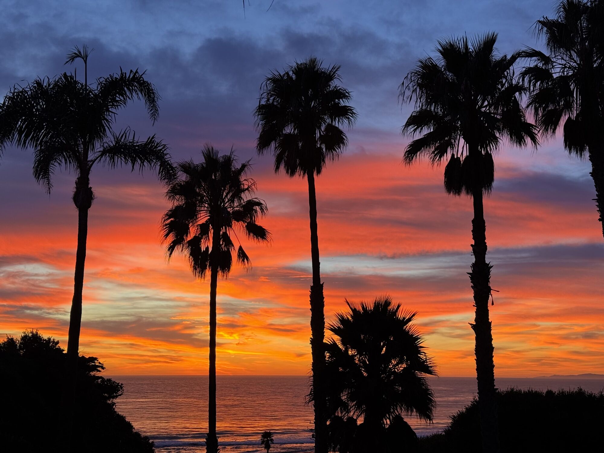 Malibu's Best Shot: Zuma Beach