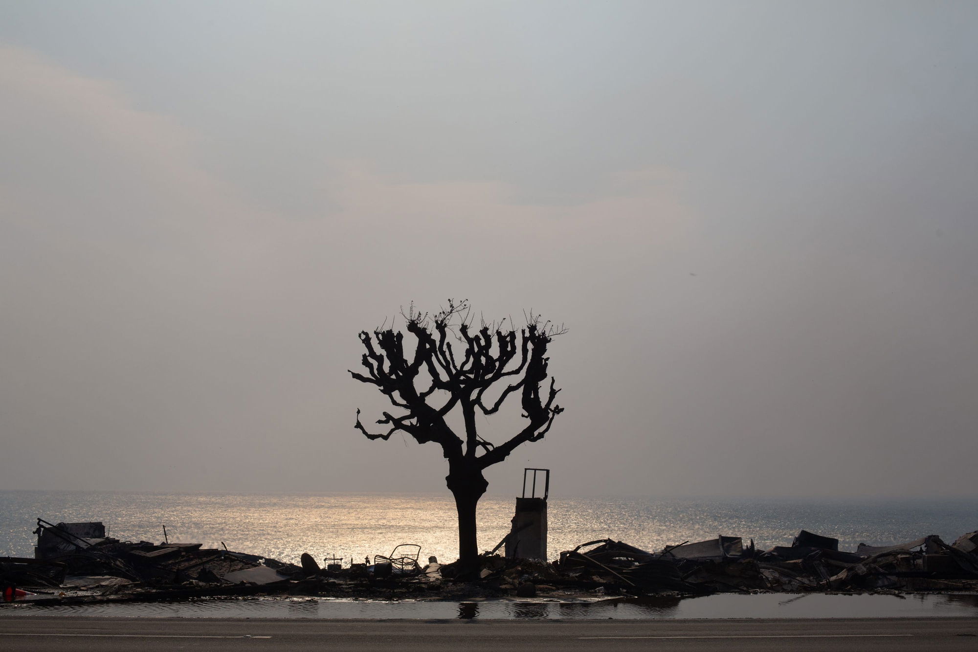 Palisades Fire ravages Malibu leaving death and destruction in its wake