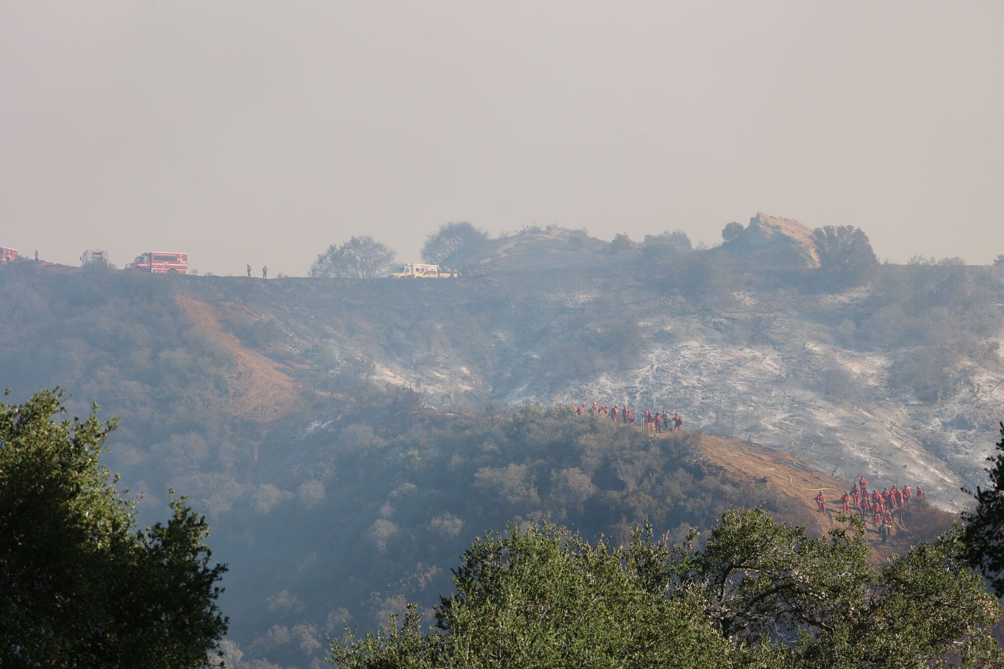 Palisades Fire Update, Sunday, Jan. 19: 52% Contained, Critical Recovery Efforts Underway