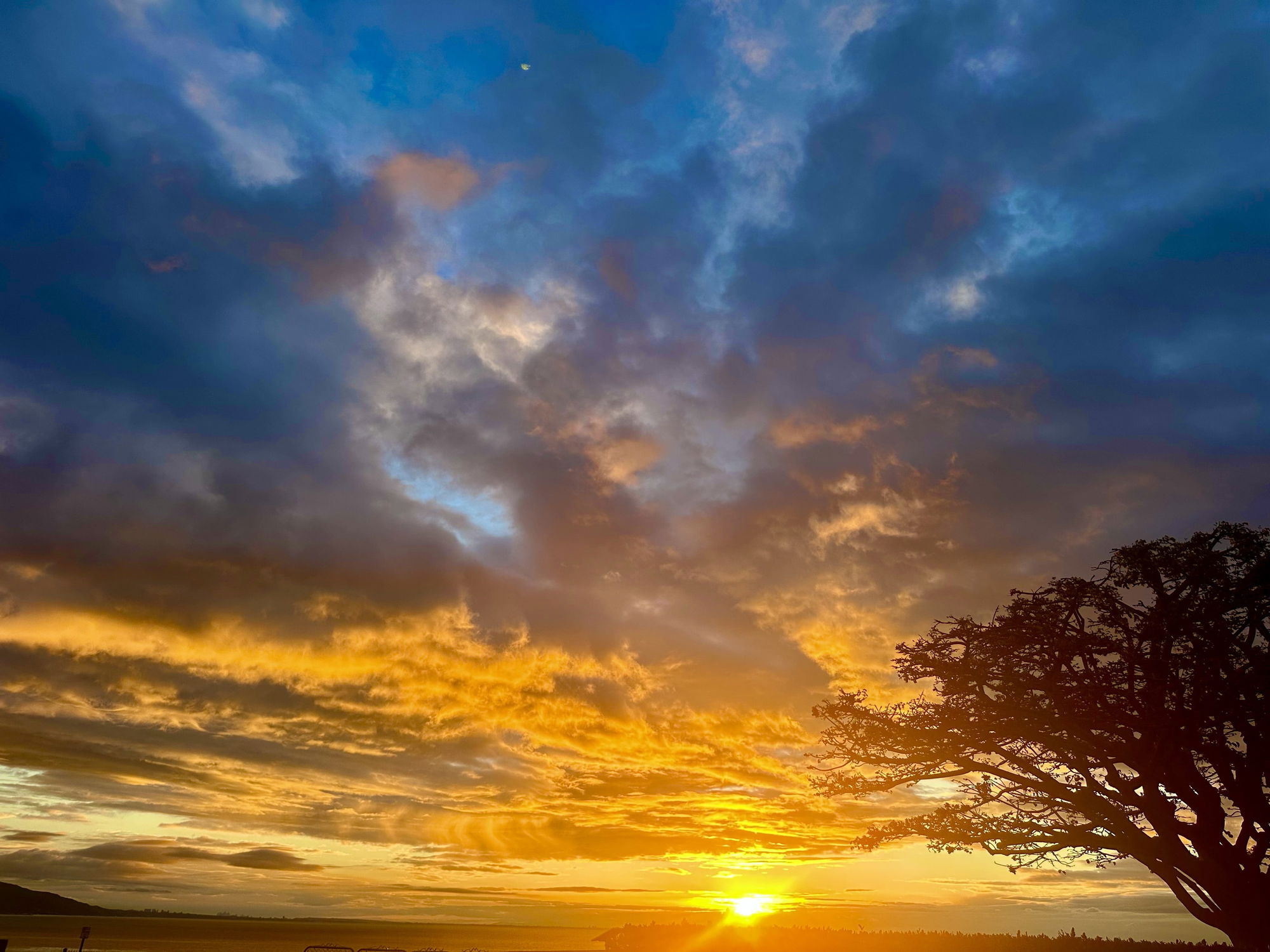 Malibu's Best Shot: Sunrise from the Point Dume Headlands on Cliffside Drive