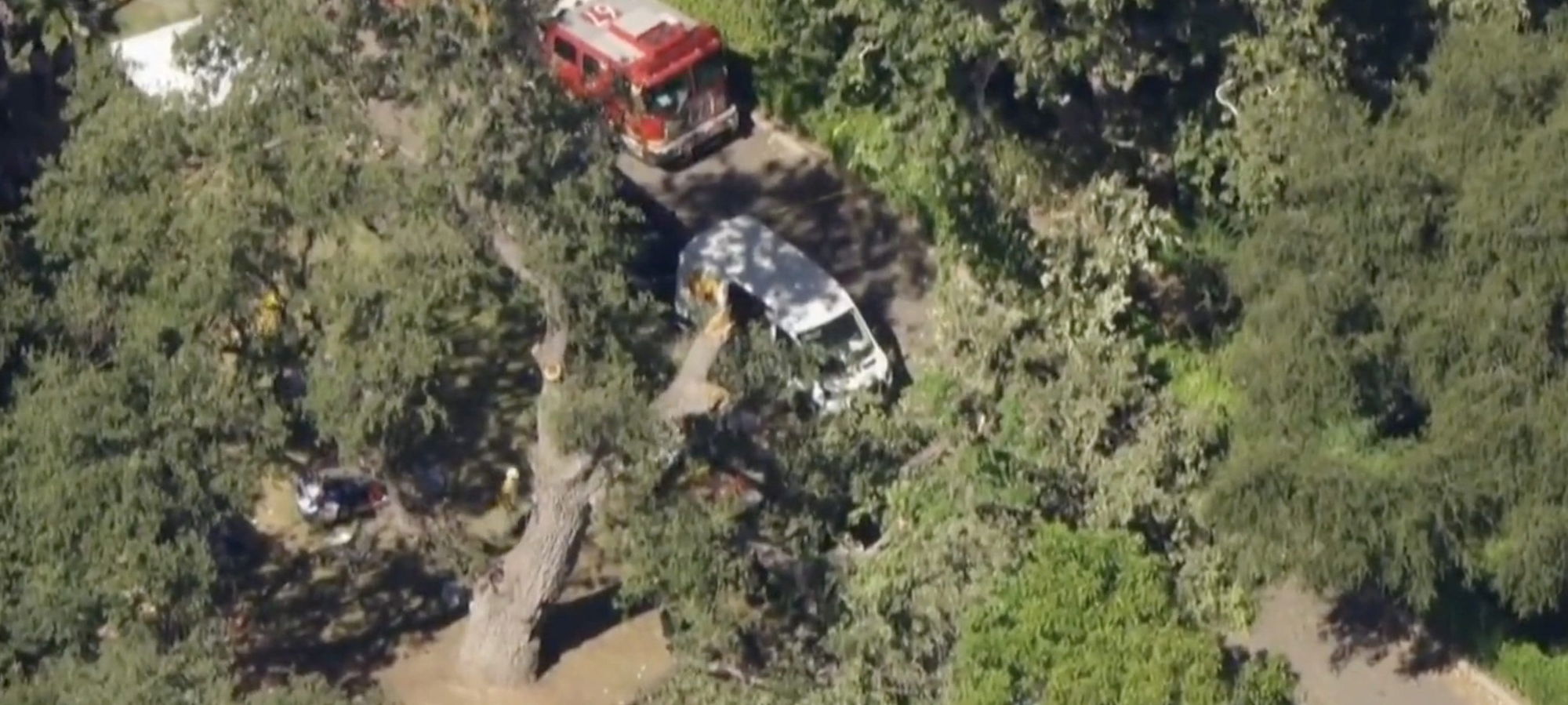 Update: Child dies after tree branch falls at King Gillette Ranch
