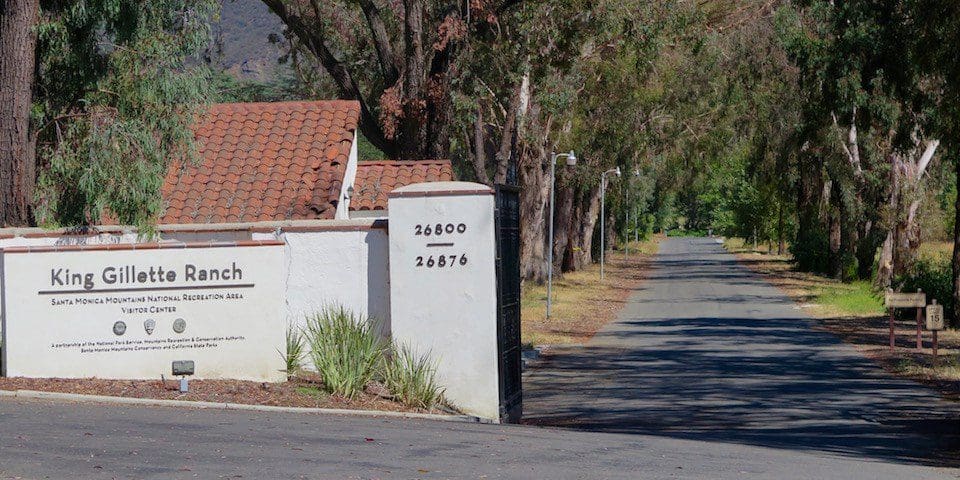 Oak Tree decay warning reportedly known before tragic camp accident at King Gillette Ranch