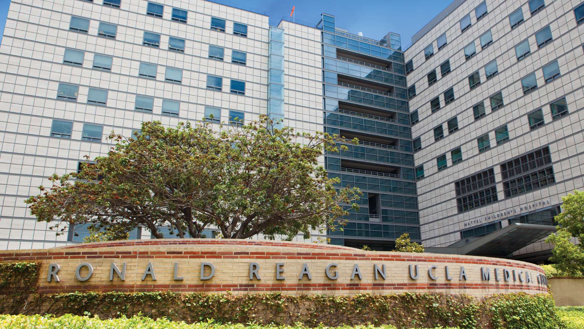 UCLA Medical Center seeks public’s help to identify unidentified patient struck by car on PCH