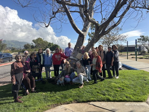 Malibu gets its first yarn&nbsp;bombing to commemorate&nbsp;Palisades&nbsp;Fire&nbsp;anniversary