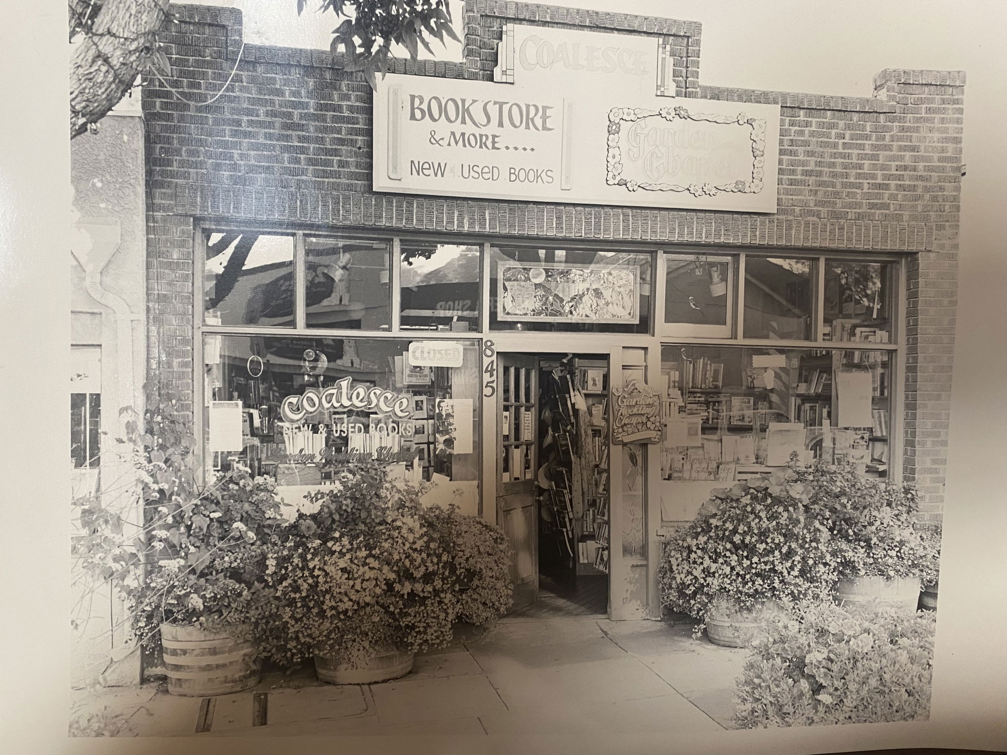 Coalesce Bookstore celebrates 50 years of business