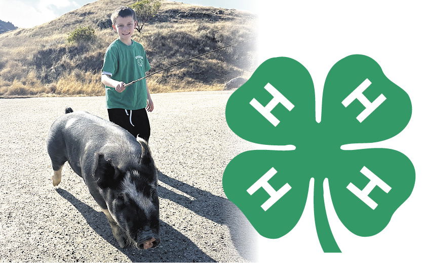 4-H Club kids ready for the fair