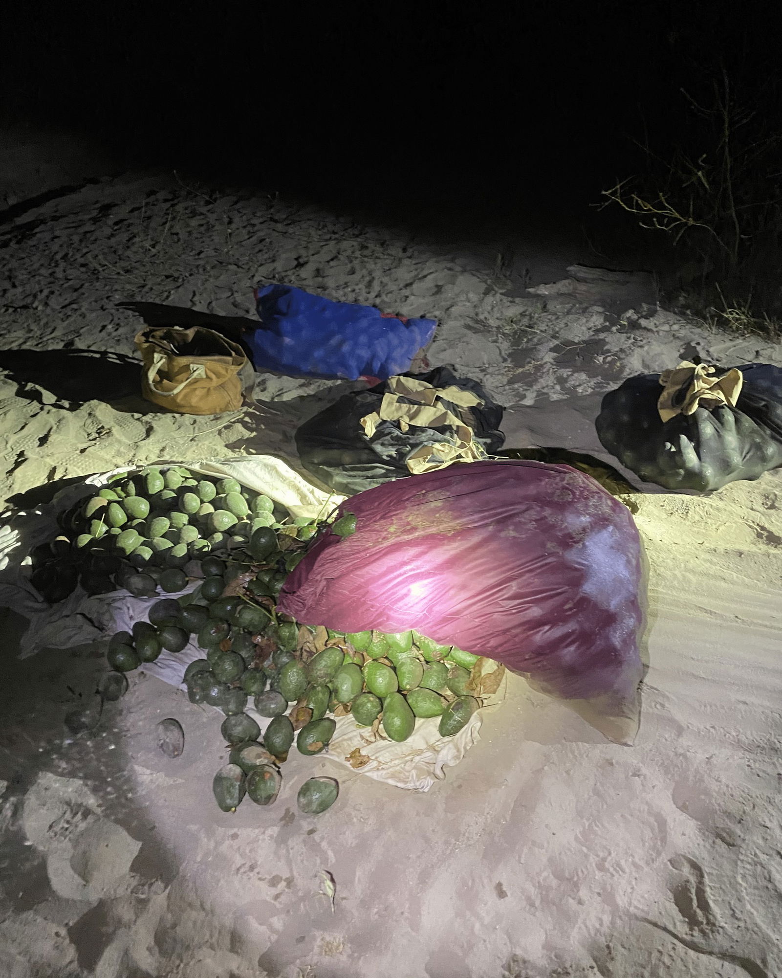 Behind the Badge: The avocado heist and our Rural Crimes Unit