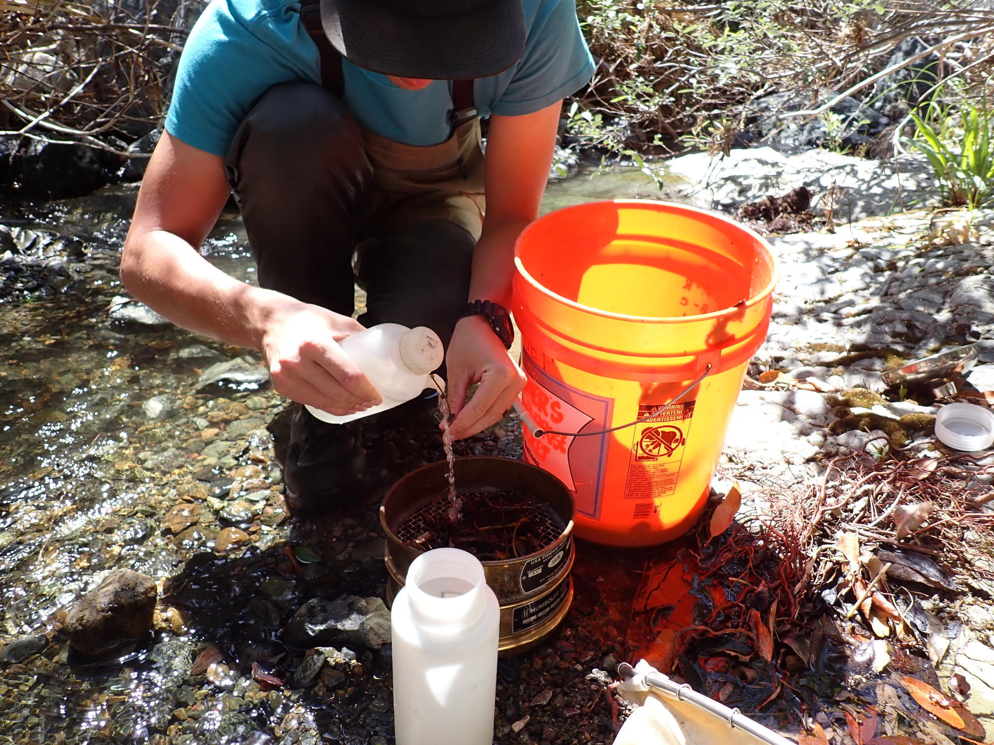 Miossi Charitable Trust Funds Second Year of Creek Health Monitoring in San Luis Obispo