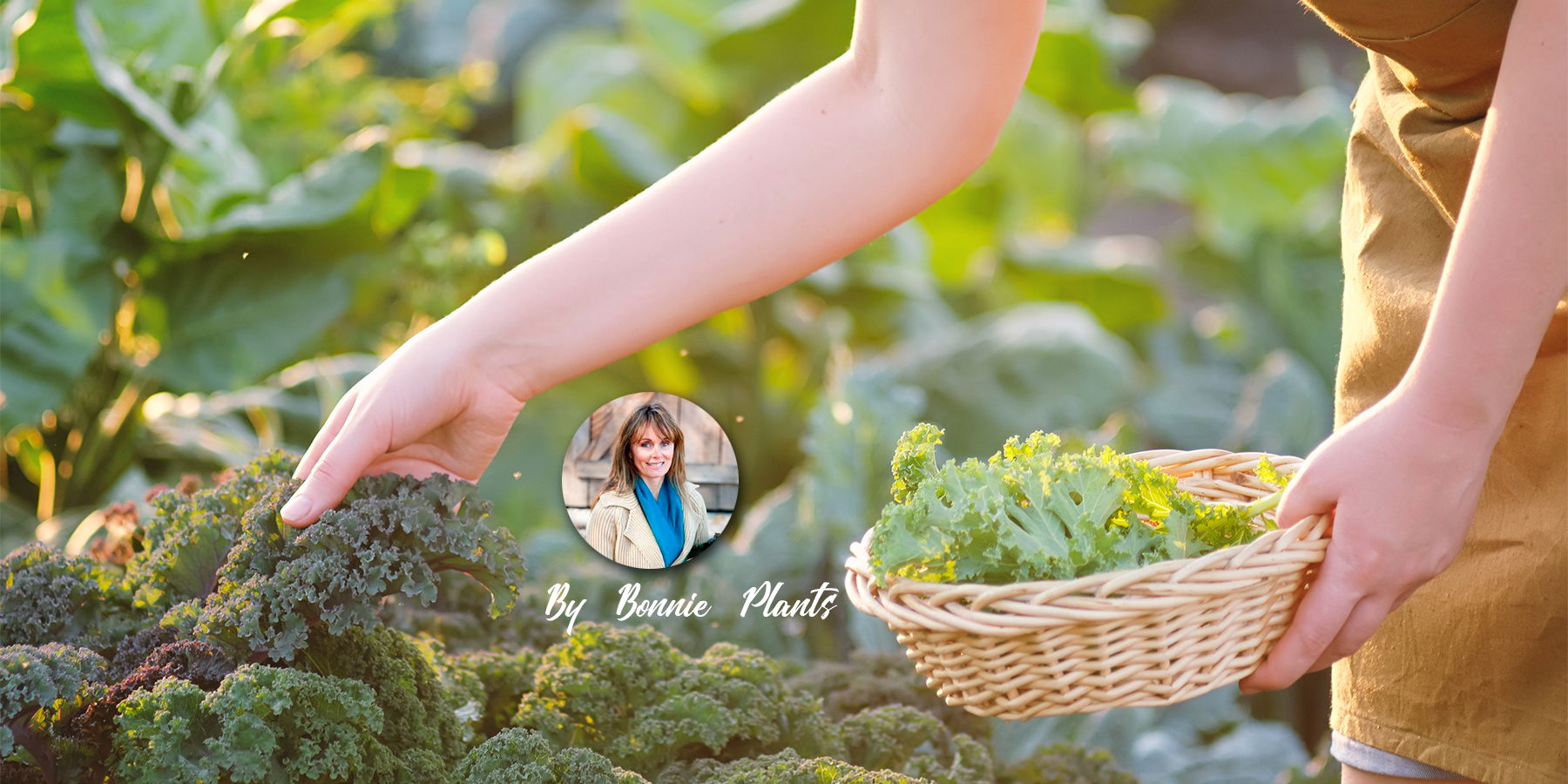 Fall In Love With Cool-Weather Gardening For A Healthy, Hefty Homegrown Harvest