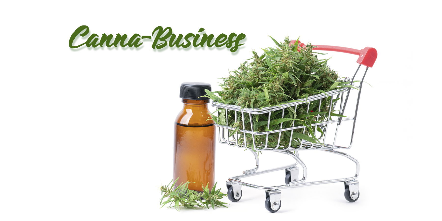 Second Cannabis Store Opens in Morro Bay