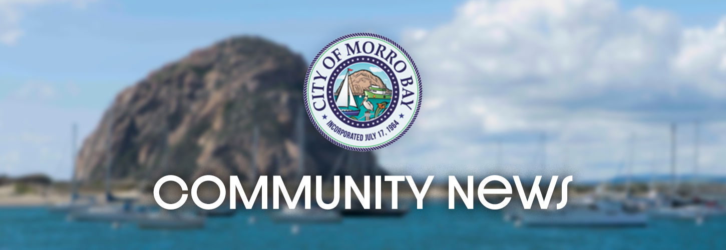 City Approves Monitoring Contracts