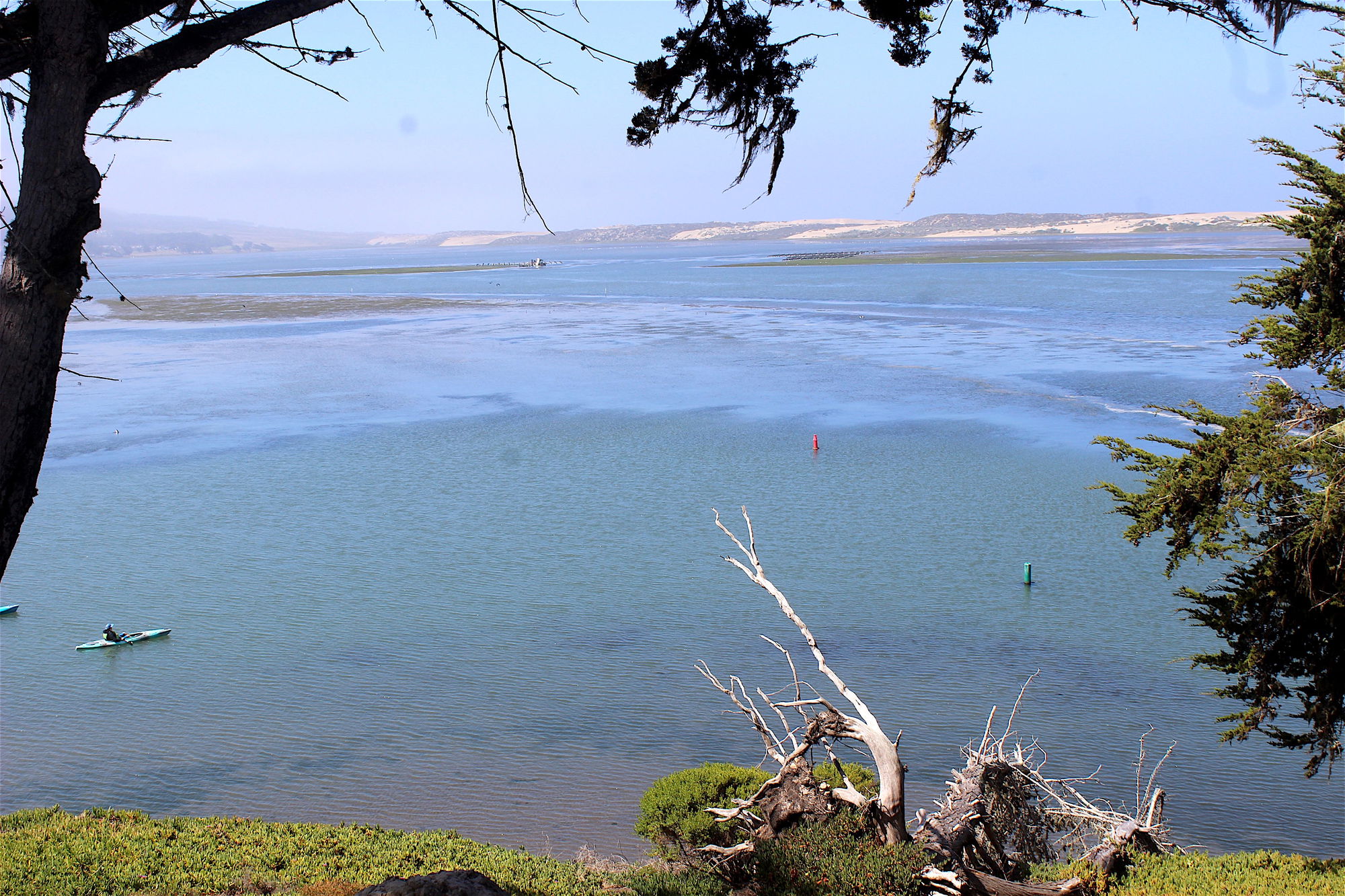 Celebrating 30 years of protecting Morro Bay Estuary