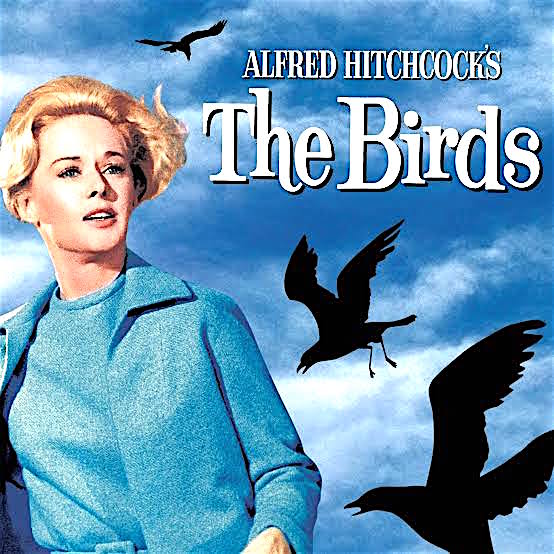 Bay Theater goes to the birds for Halloween