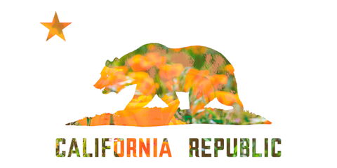 Following Governor Newsom’s Recent Vaccination Measures, Others Follow Suit