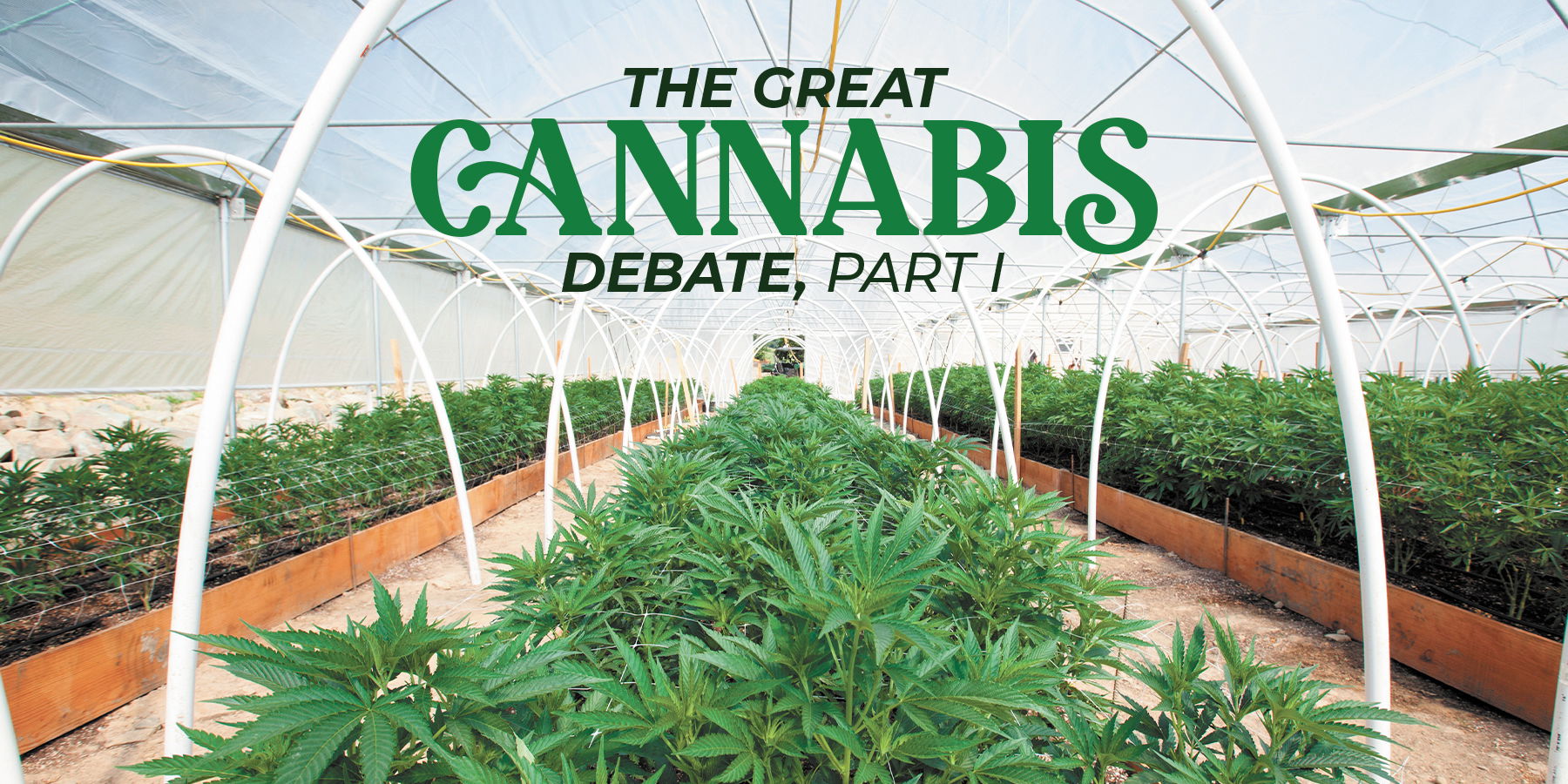 The Great Cannabis Debate: Part 1