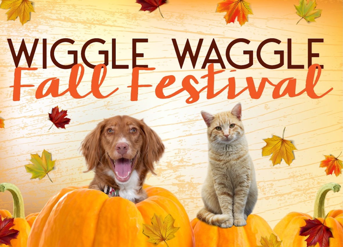 Woods Humane Society hosts Central Coast’s biggest dog party