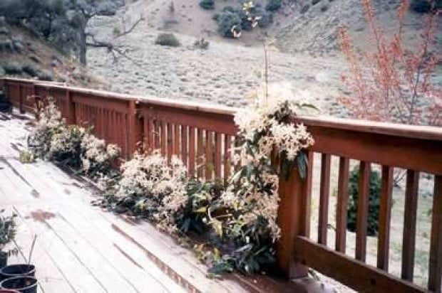 Water could be scarce, costly for summer gardens