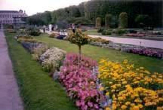 Planting an artful garden in the New World