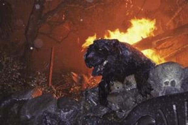 Fire destroys Malibu Road homes