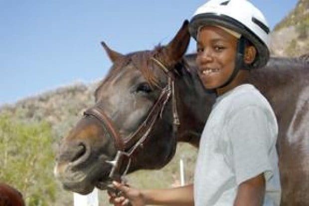 Horses in the Hood