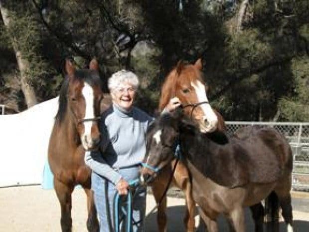 Fighting fire threat to horses through microchips