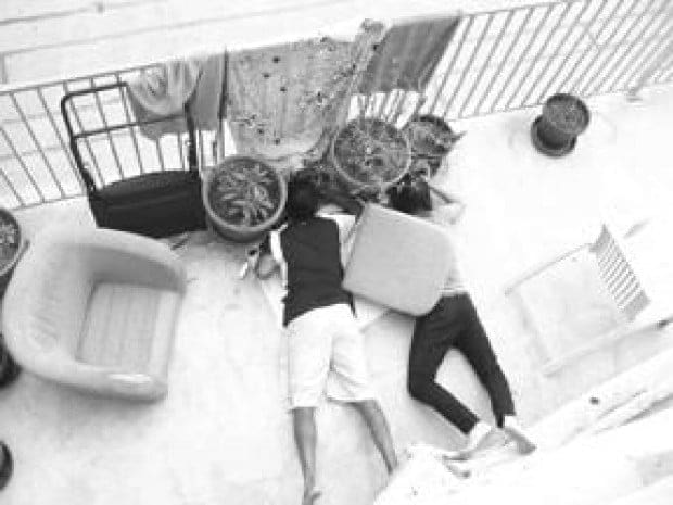 Paparazzi at my doorstep