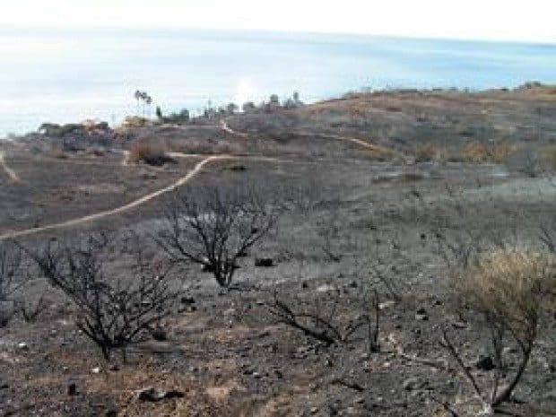 Recovery from January fire ongoing