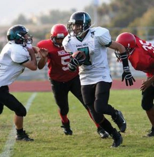 JV Sharks devour Daniel Murphy
