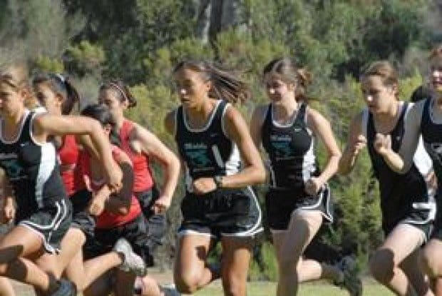 On the road to CIF