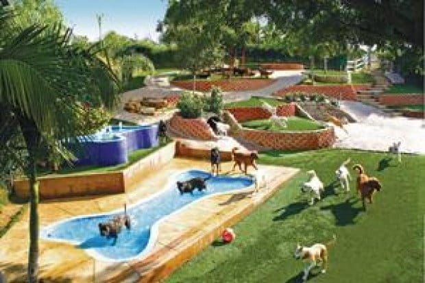 A 'Doggie Disneyland'