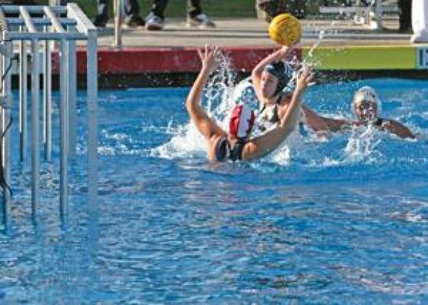 Sharks devour playoff opponents