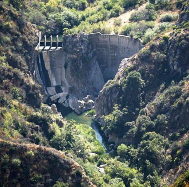 Fish die-off in Malibu Creek under investigation