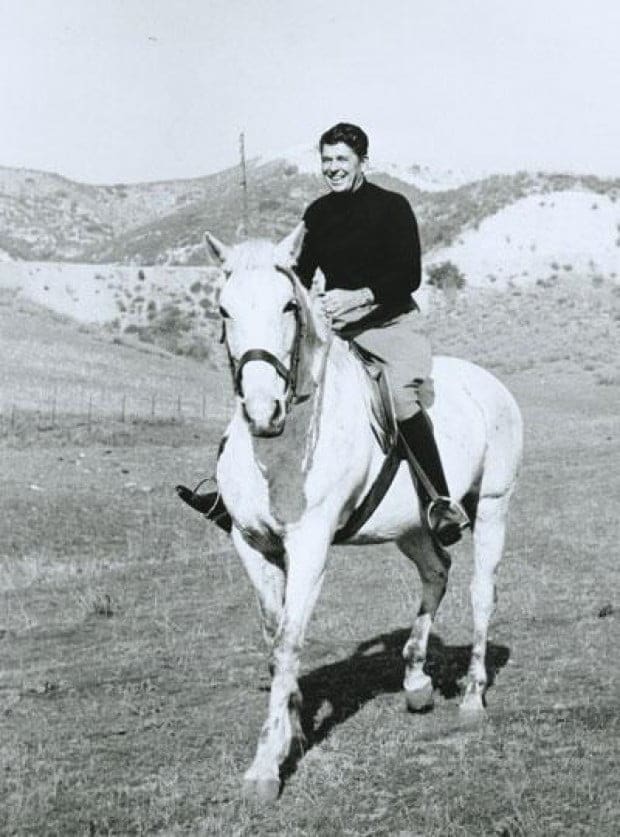 Local Equestrians seek funds to build horse campground