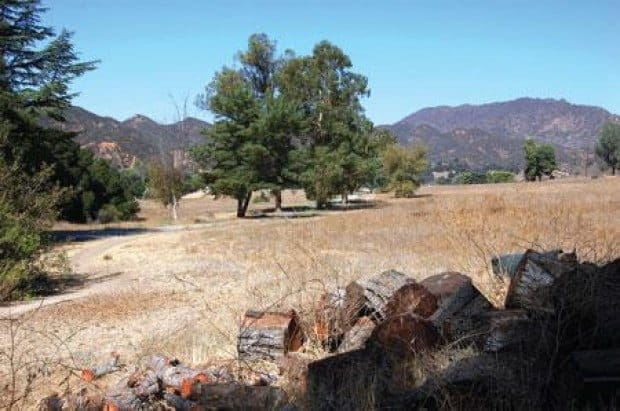 Equestrian campground faces emotional opposition