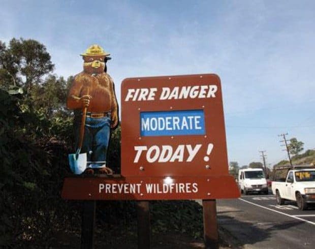 Smokey Bear is back