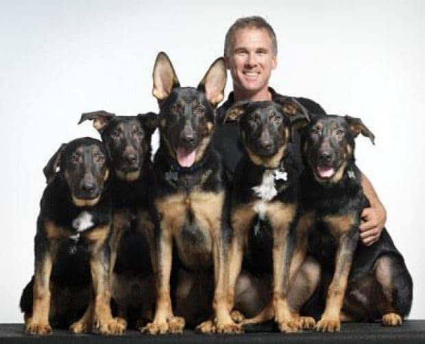 Cloned dogs training for search and rescue