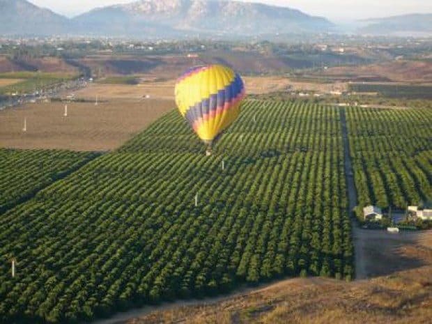 Temecula's coming of age