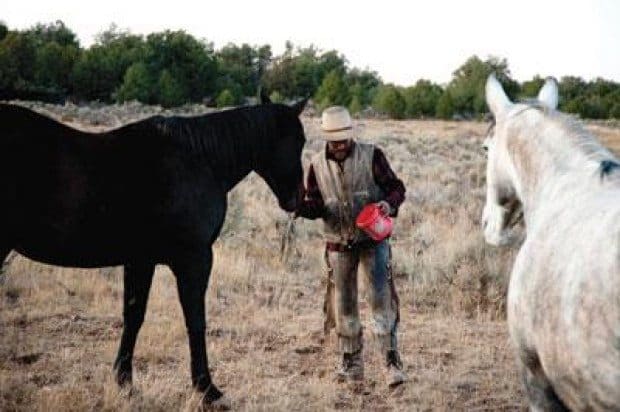 Home on the range