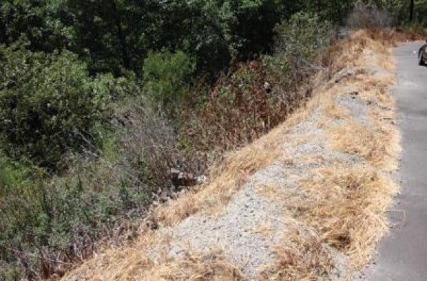 Spraying spat raises questions for Malibu