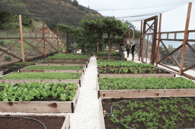 Life on the farm: One Gun Ranch