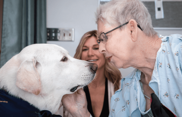 Man's best friend: A therapy dog